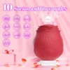 S0021e50def664c088d8d53cc008557e0W.webp La Rose — vue 2